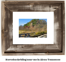 horseback riding near me in Alcoa, Tennessee